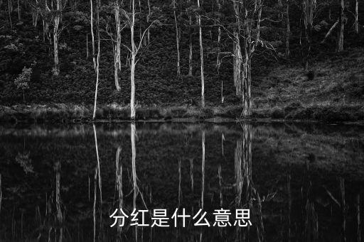 000172分紅是什么意思，000172什么時(shí)候分紅
