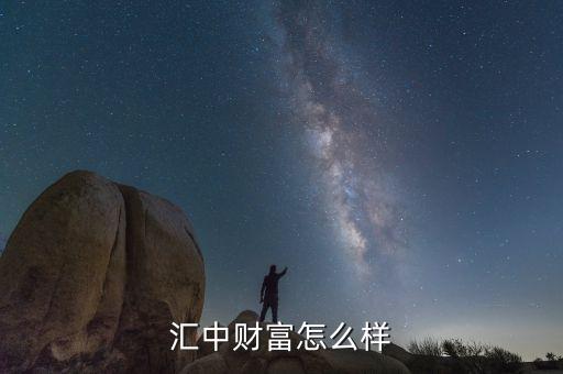 武漢匯中財(cái)富怎么樣，我想網(wǎng)上貸款請(qǐng)問匯中財(cái)富這個(gè)公司怎么樣