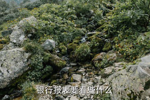 銀行股年報(bào)看什么，企業(yè)股東利潤分紅匯出時(shí)銀行對(duì)企業(yè)提供的相關(guān)年度審計(jì)報(bào)告主要