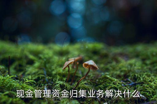 歸集現(xiàn)金是什么意思，銀河玖樂中資金歸集是什么意思
