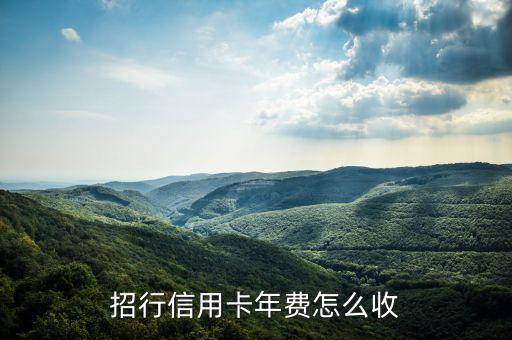 招商年費標準是什么，招行信用卡年費怎么收