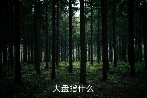 大盤指什么