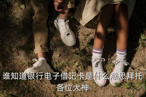 電子借記卡是什么，中國銀行長城電子借記卡是什么