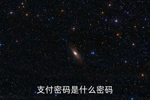 支付密碼是什么密碼