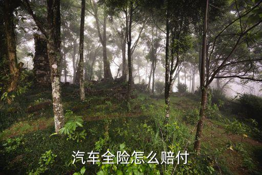 平安保險全險怎么賠，汽車全險怎么賠付