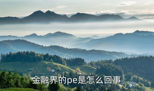 金融界的pe是怎么回事