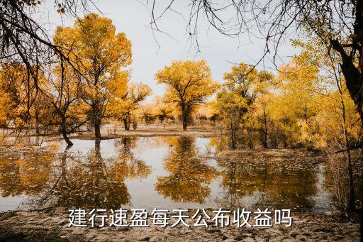 速盈什么時候看到收益，錢存到速盈幾天后有收益