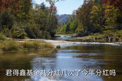 君得鑫基金共分紅幾次了今年分紅嗎