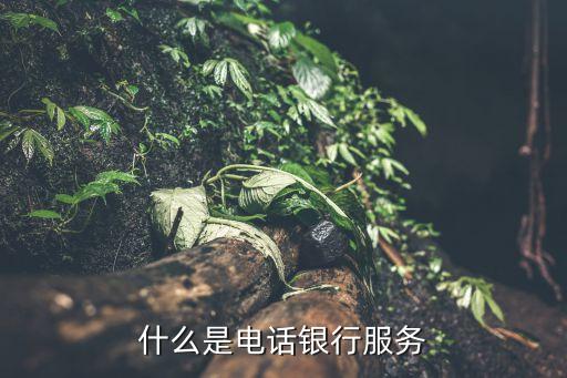什么是電話銀行服務(wù)，什么是電話銀行服務(wù)