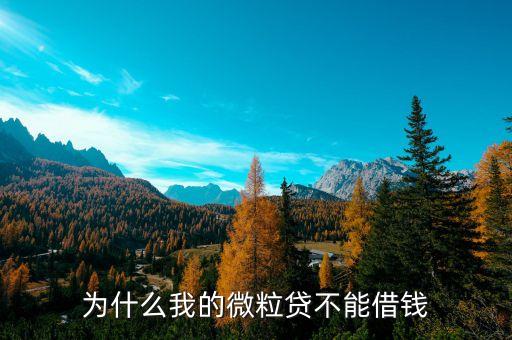 為什么我的微粒貸不能借錢