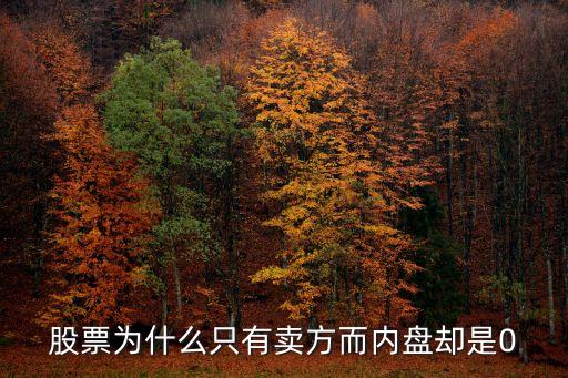 股市為什么有賣方，股票為什么只有賣方而內(nèi)盤卻是0