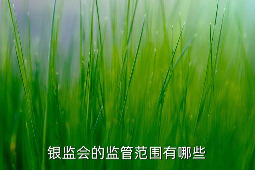 銀監(jiān)會(huì)的監(jiān)管范圍有哪些