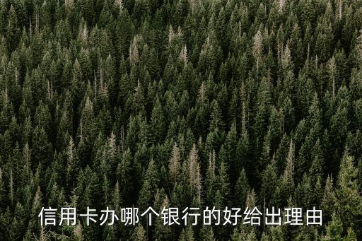 辦什么銀行信用卡最好，哪個(gè)銀行的信用卡比較好
