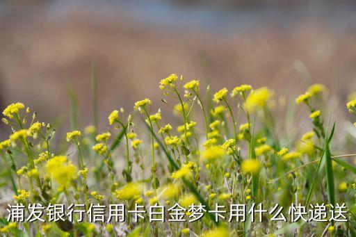 浦發(fā)銀行信用卡白金夢卡用什么快遞送