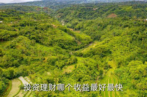 什么理財(cái)賺錢快，哪個(gè)投資理財(cái)比較賺錢