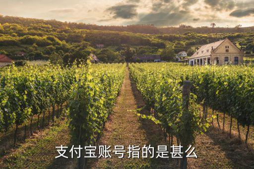 支付寶賬號指的是甚么
