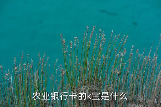 農(nóng)業(yè)銀行開通k寶是什么意思，農(nóng)業(yè)銀行開通k寶是不是意味著開通了網(wǎng)銀