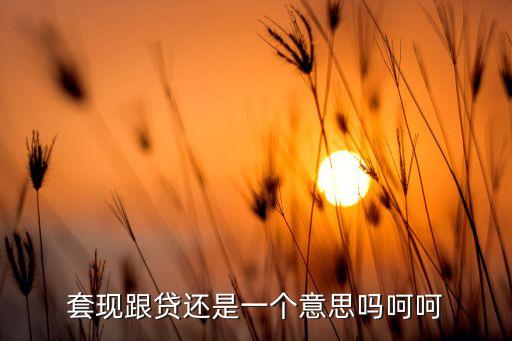 套現(xiàn)跟貸還是一個意思嗎呵呵