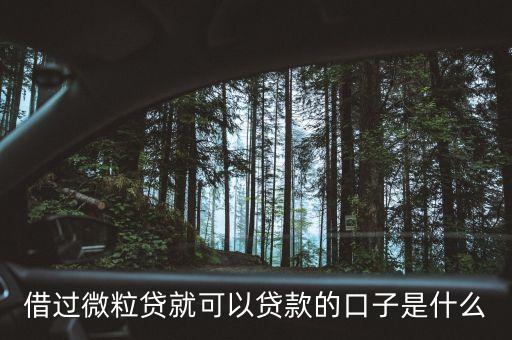 打工貸是什么口子，你好憑打卡工薪貸款網(wǎng)貸下款的有哪些口子呢