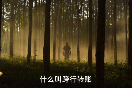 什么叫跨行異地轉(zhuǎn)賬，什么叫跨行轉(zhuǎn)賬
