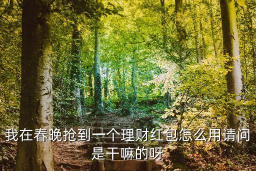 什么是理財紅包怎么用的，我在春晚搶到一個理財紅包怎么用請問是干嘛的呀