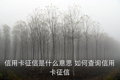 信用卡征信是什么意思 如何查詢信用卡征信