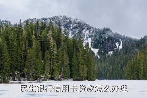 民生銀行信用卡貸款怎么辦理