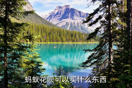 螞蟻花唄能用來買什么東西，花唄能買哪些東西 什么店鋪可以用花唄