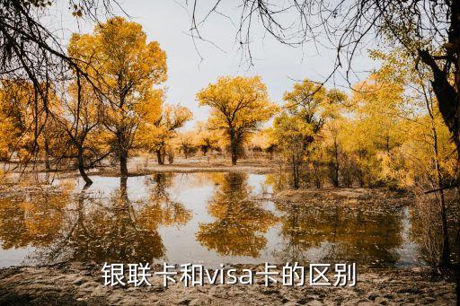 銀聯(lián)卡和visa卡的區(qū)別