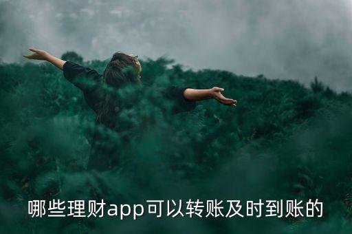 哪些理財(cái)app可以轉(zhuǎn)賬及時(shí)到賬的