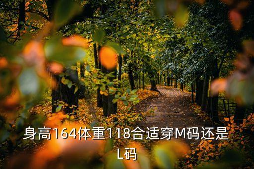 身高164體重118合適穿M碼還是L碼