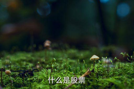 股票是指什么，什么是股票啊
