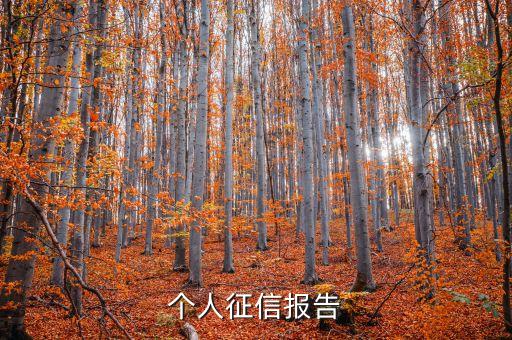 個人征信報告