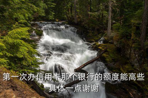 首次辦理什么信用卡額度，首次辦那個銀行的信用卡額度是最高的