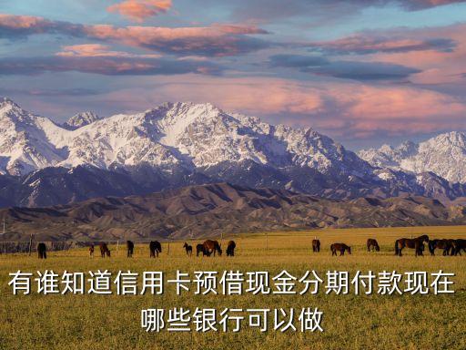 有誰知道信用卡預(yù)借現(xiàn)金分期付款現(xiàn)在哪些銀行可以做
