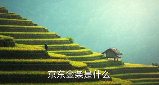 京東金條是什么