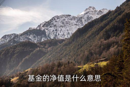 基金凈值是什么意思，何為基金凈值