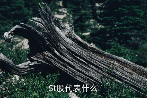 St股代表什么