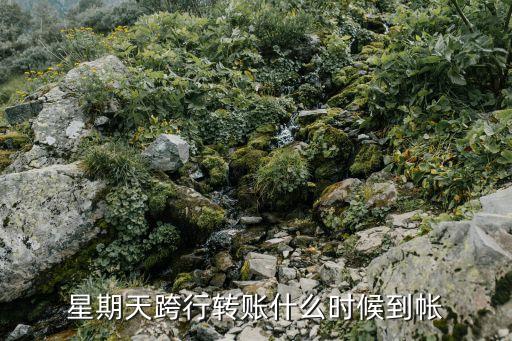 周末大額跨行轉(zhuǎn)賬什么時候能到賬嗎，節(jié)假日大額跨行轉(zhuǎn)賬大概多長時間到賬