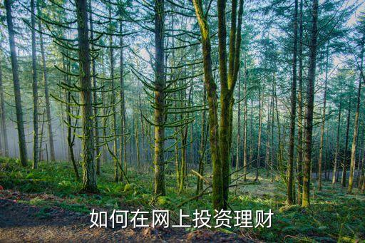 如何在網(wǎng)上投資理財