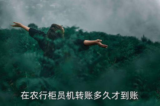 在農(nóng)行柜員機(jī)轉(zhuǎn)賬多久才到賬