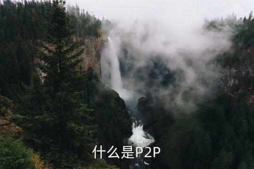 什么是P2P