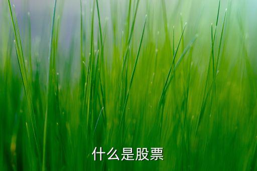 什么是股票
