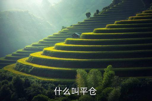 什么叫平倉(cāng)