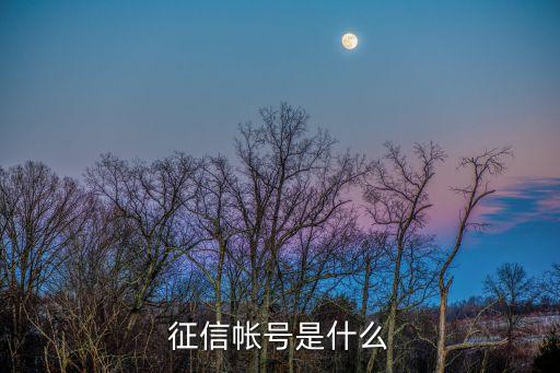 征信帳號(hào)是什么