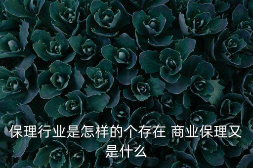 保理行業(yè)是怎樣的個(gè)存在 商業(yè)保理又是什么