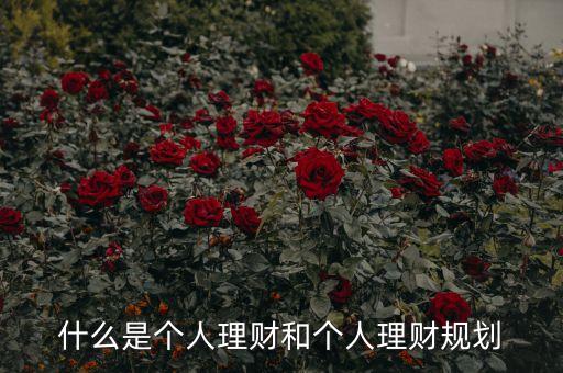 個人理財規(guī)劃是什么，家庭理財規(guī)劃是怎么做的