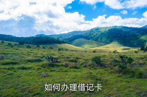 如何辦理借記卡