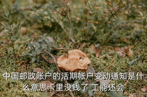 賬戶動戶通知是什么，公積金動帳通知什么意思