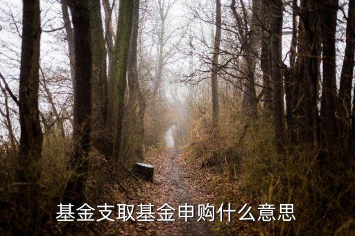 基金支取基金申購(gòu)什么意思